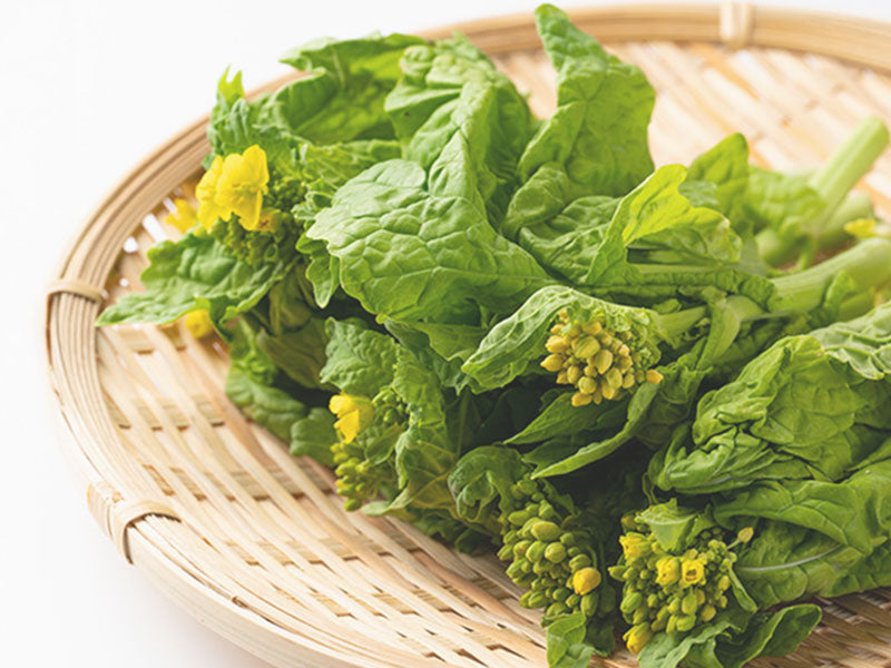 旬の野菜がもたらす健康効果(春)