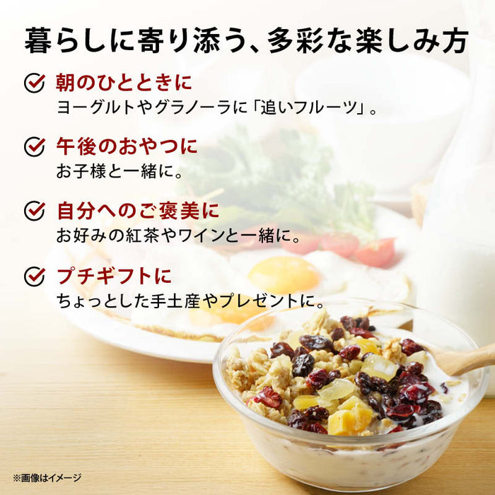 前田家 15種の ドライフルーツ 贅沢 美 栄養 ミックス 220g/450g/900g ドライフルーツミックス ミックスフルーツ ダイス おやつ ギフト ヨーグルト トッピング 詰め合わせ 送料無料 MAEDAYA