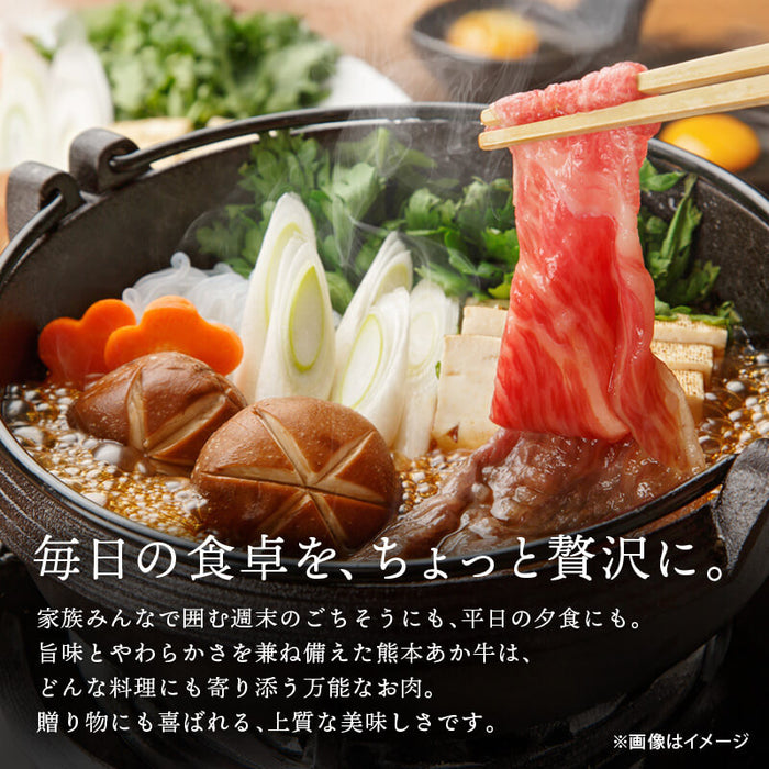 肉工房三協 熊本 あか牛 切り落とし 1kg (500gx2) 冷凍 くまもと あか牛 赤身 すき焼き 牛丼 グルメ お取り寄せグルメ ギフト 和牛 熊本和牛 熊本 前田家 送料無料 MAEDAYA