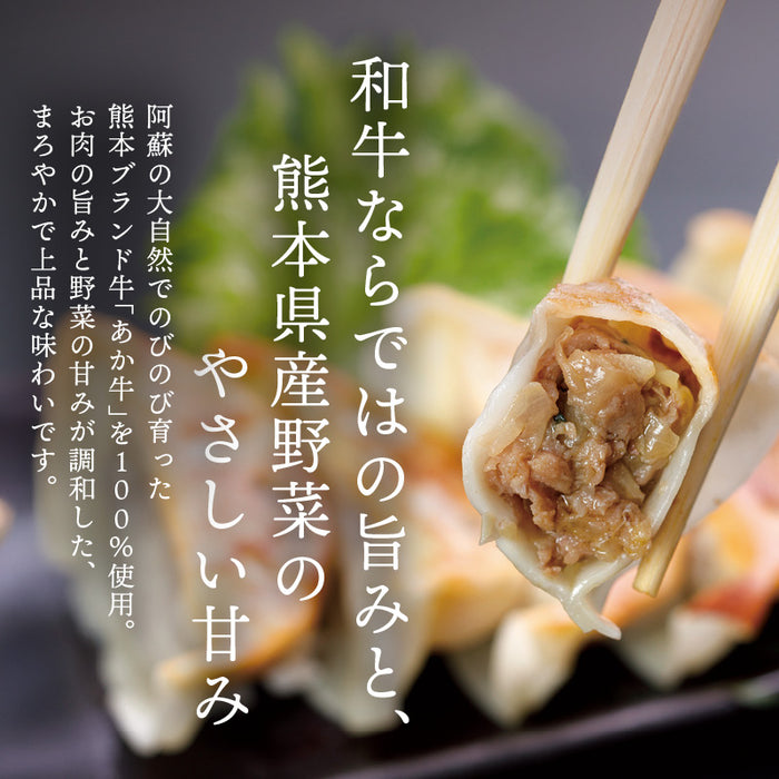 肉工房三協 熊本 あか牛餃子 17gx50個 冷凍 業務用 くまもと あか牛 赤牛 餃子 焼き餃子 肉餃子 餃子冷凍 熊本和牛 和牛 取り寄せ お取り寄せ グルメ ギフト 前田家 送料無料 MAEDAYA