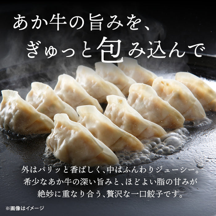 肉工房三協 熊本 あか牛餃子 17gx50個 冷凍 業務用 くまもと あか牛 赤牛 餃子 焼き餃子 肉餃子 餃子冷凍 熊本和牛 和牛 取り寄せ お取り寄せ グルメ ギフト 前田家 送料無料 MAEDAYA