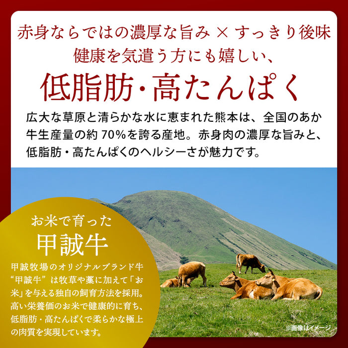 肉工房三協 熊本 あか牛餃子 17gx50個 冷凍 業務用 くまもと あか牛 赤牛 餃子 焼き餃子 肉餃子 餃子冷凍 熊本和牛 和牛 取り寄せ お取り寄せ グルメ ギフト 前田家 送料無料 MAEDAYA