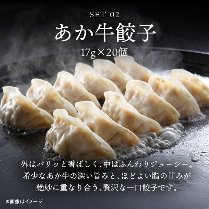 肉工房三協 熊本 あか牛 ハンバーグ (120gx3個) & 餃子 (17gx20個) セット 冷凍 日本ギフト大賞 和牛 熊本和牛 赤牛 お取り寄せ ギフト 冷凍餃子 グルメ 前田家 送料無料 MAEDAYA