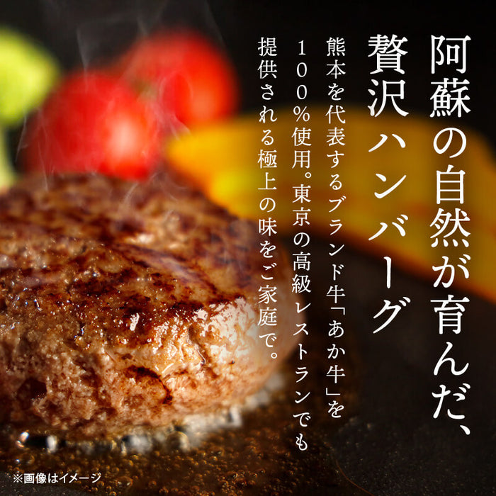 肉工房三協 熊本 あか牛ハンバーグ 120gx6個 冷凍 日本ギフト大賞 くまもと あか牛 グルメ お取り寄せグルメ ハンバーグ ギフト 和牛 熊本和牛 個包装 前田家 送料無料 MAEDAYA