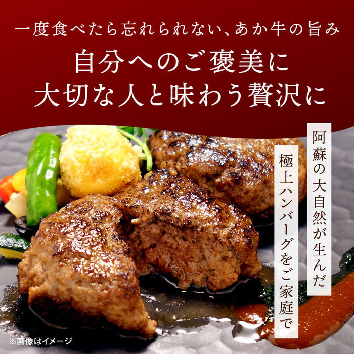 肉工房三協 熊本 あか牛ハンバーグ 120gx6個 冷凍 日本ギフト大賞 くまもと あか牛 グルメ お取り寄せグルメ ハンバーグ ギフト 和牛 熊本和牛 個包装 前田家 送料無料 MAEDAYA