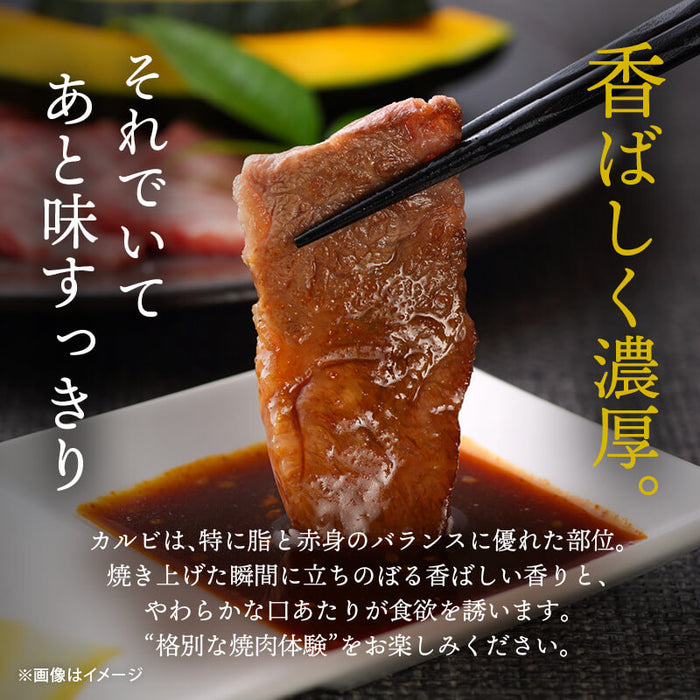 肉工房三協 熊本 あか牛 焼肉用カルビ 400g 冷凍 折箱入り カルビ バラ くまもと あか牛 赤身 焼肉 牛カルビ バーベキュー ギフト 贈答用 和牛 熊本和牛 熊本 前田家 送料無料 MAEDAYA