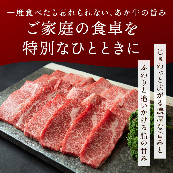 肉工房三協 熊本 あか牛 焼肉用カルビ 400g 冷凍 折箱入り カルビ バラ くまもと あか牛 赤身 焼肉 牛カルビ バーベキュー ギフト 贈答用 和牛 熊本和牛 熊本 前田家 送料無料 MAEDAYA