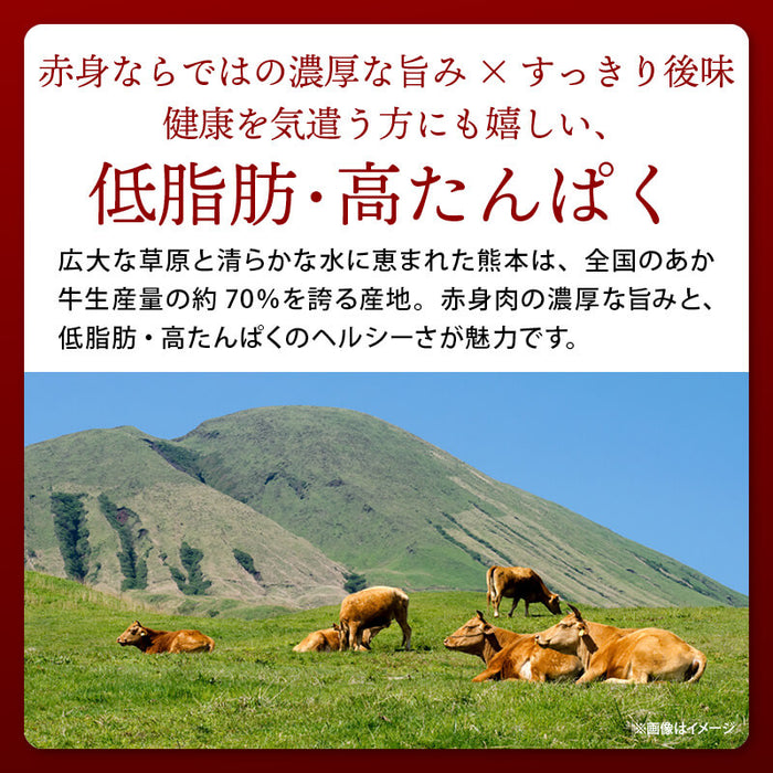 肉工房三協 熊本 あか牛ローストビーフ 200g 冷凍 くまもと あか牛 グルメ お取り寄せグルメ ローストビーフ ギフト 和牛 熊本和牛 熊本 甲誠牛 前田家 送料無料 MAEDAYA