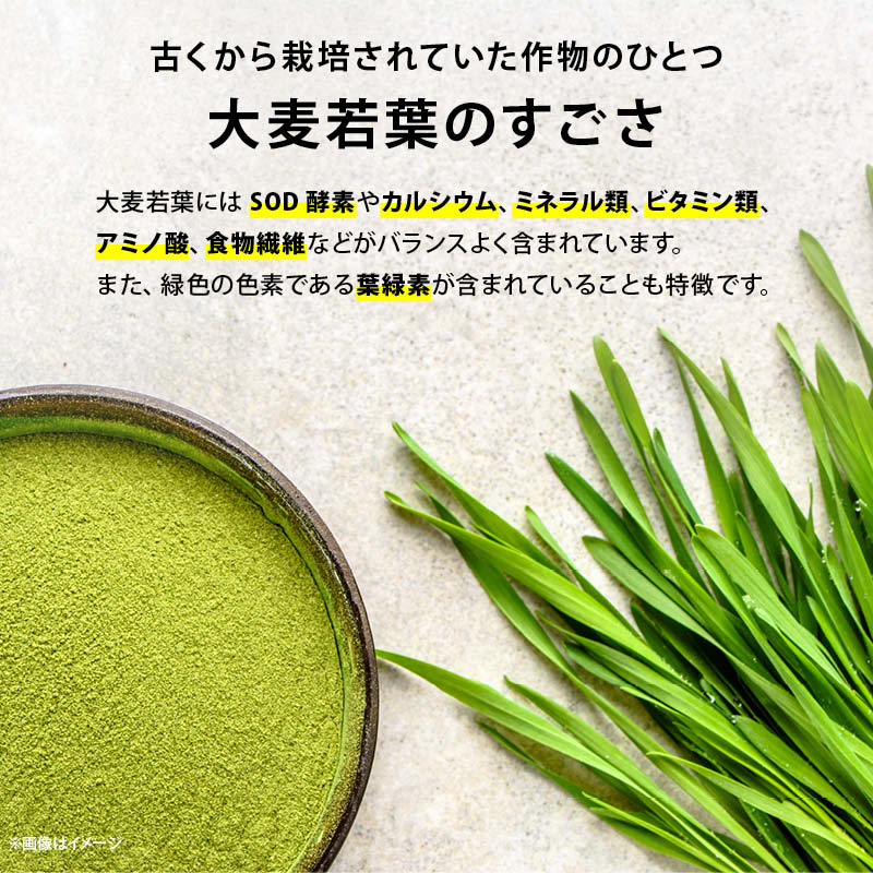 青汁 国産 無添加 九州産 大麦若葉粉末 純国産 オーガニック あおじる 野菜不足 野菜摂取 ドリンク 食物繊維 ビタミン ミネラル サプリ 健康食品 健康飲料 家庭用 業務用 前田家 メール便 送料無料