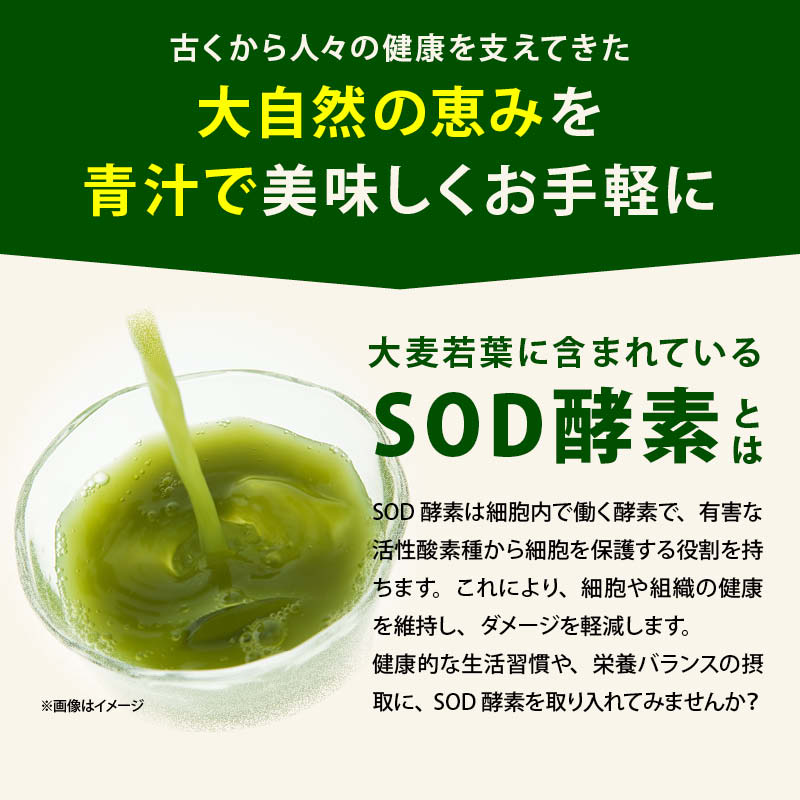 青汁 国産 無添加 九州産 大麦若葉粉末 純国産 オーガニック あおじる 野菜不足 野菜摂取 ドリンク 食物繊維 ビタミン ミネラル サプリ 健康食品 健康飲料 家庭用 業務用 前田家 メール便 送料無料