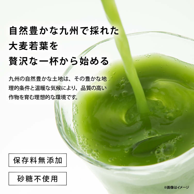 青汁 国産 無添加 九州産 大麦若葉粉末 純国産 オーガニック あおじる 野菜不足 野菜摂取 ドリンク 食物繊維 ビタミン ミネラル サプリ 健康食品 健康飲料 家庭用 業務用 前田家 メール便 送料無料