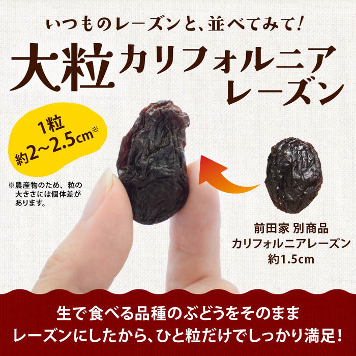 前田家 大粒レーズン ノンオイル カリフォルニア産 300g/500g/700g 無添加 砂糖不使用 種なし ドライフルーツ 干しぶどう レーズン 大粒 製菓材料 おやつ 送料無料 MAEDAYA