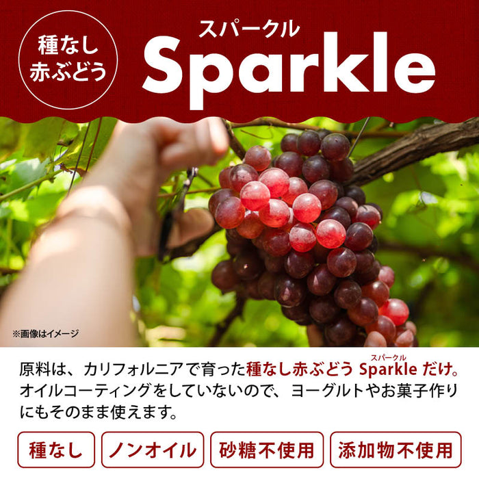 前田家 大粒レーズン ノンオイル カリフォルニア産 300g/500g/700g 無添加 砂糖不使用 種なし ドライフルーツ 干しぶどう レーズン 大粒 製菓材料 おやつ 送料無料 MAEDAYA