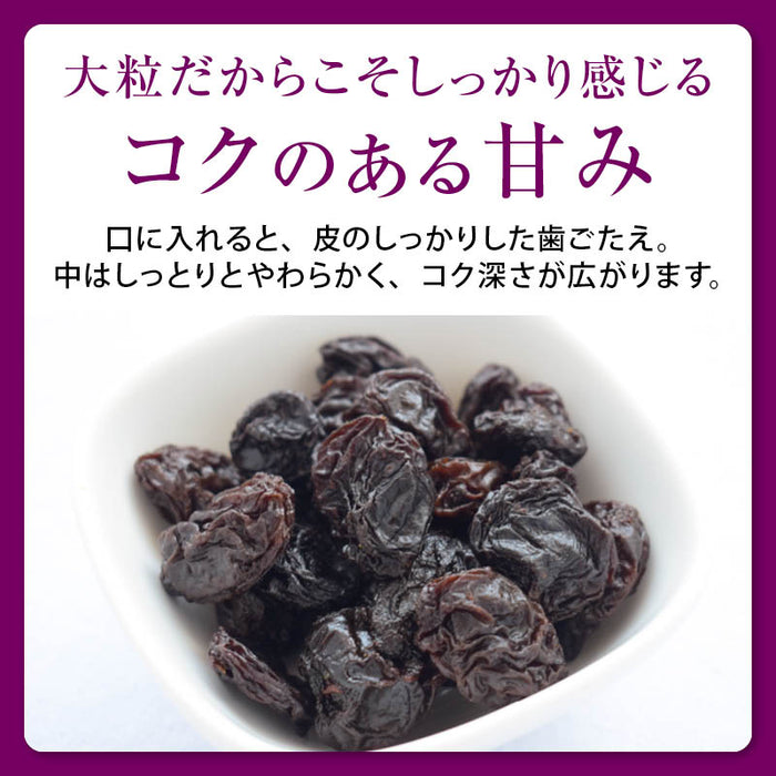 前田家 大粒レーズン ノンオイル カリフォルニア産 300g/500g/700g 無添加 砂糖不使用 種なし ドライフルーツ 干しぶどう レーズン 大粒 製菓材料 おやつ 送料無料 MAEDAYA