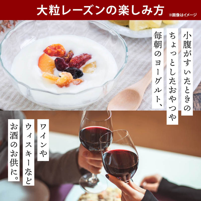 前田家 大粒レーズン ノンオイル カリフォルニア産 300g/500g/700g 無添加 砂糖不使用 種なし ドライフルーツ 干しぶどう レーズン 大粒 製菓材料 おやつ 送料無料 MAEDAYA