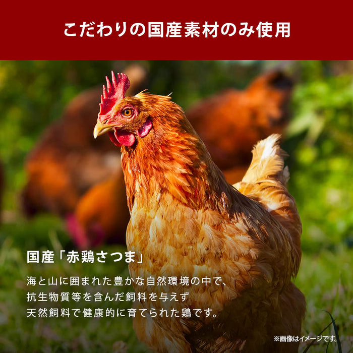 前田家 完全無添加 チキンコンソメ 粉末タイプ 100g 国産原料のみ 特許製法 料理のベーススープ 離乳食としても 無塩 酵母エキス グルテンフリー