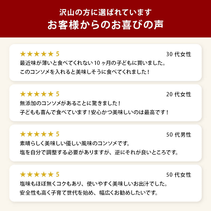 前田家 完全無添加 チキンコンソメ 粉末タイプ 100g 国産原料のみ 特許製法 料理のベーススープ 離乳食としても 無塩 酵母エキス グルテンフリー