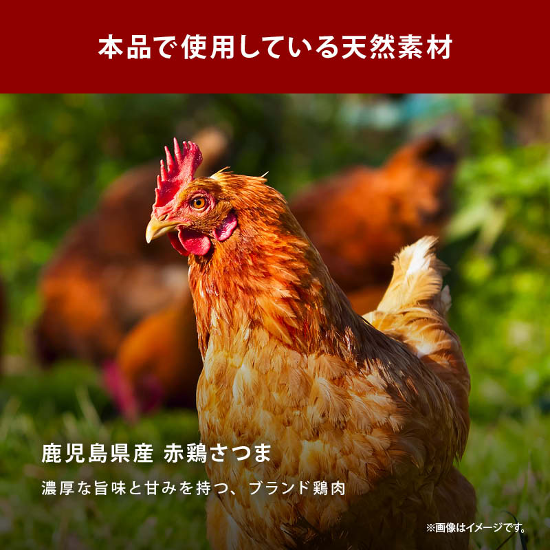 国産原料だけで作った 完全無添加 中華だし 粉末タイプ 特許製法 料理のベーススープ 離乳食としても 無塩 化学調味料 酵母エキス グルテンフリー 醤油不使用 蛋白加水分解物なども不使用 買い回り Rich Life 送料無料