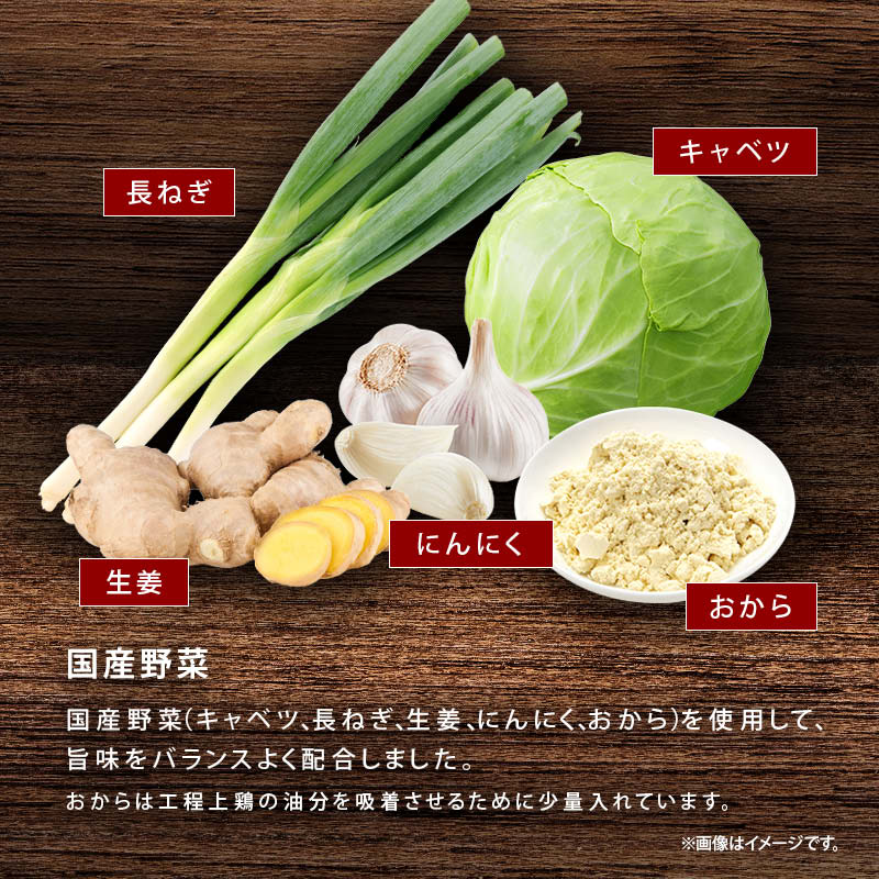 国産原料だけで作った 完全無添加 中華だし 粉末タイプ 特許製法 料理のベーススープ 離乳食としても 無塩 化学調味料 酵母エキス グルテンフリー 醤油不使用 蛋白加水分解物なども不使用 買い回り Rich Life 送料無料