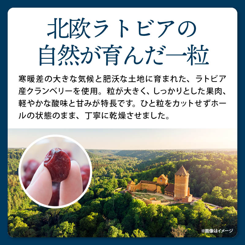 前田家 ドライクランベリー ホール 90g/170g/360g ラトビア産 無添加 ドライフルーツ ドライ クランベリー ヨーグルト 1000円ポッキリ 送料無料 メール便 MAEDAYA