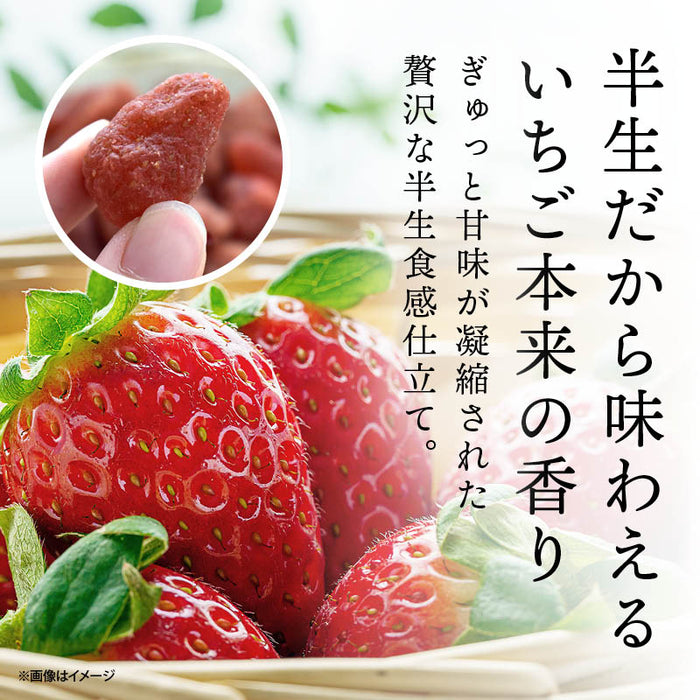 前田家 いちご ドライフルーツ 半生 イチゴ 苺 130g/270g/500g ドライいちご ドライストロベリー 丸ごと 甘い香り おやつ ビタミンC 葉酸 食物繊維 スイーツ 美容 健康 送料無料 MAEDAYA