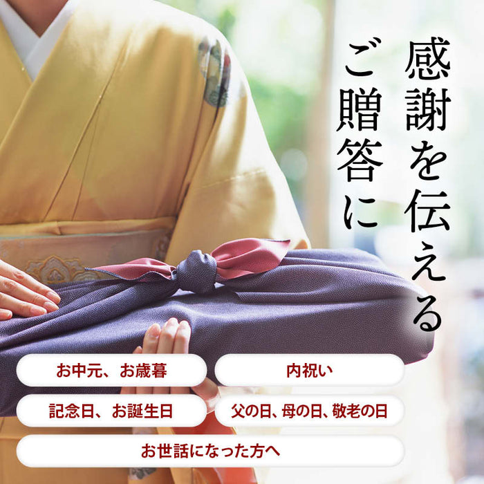 前田家 無添加 だし ギフト 3種詰合せ 各100g 粉末 チキンコンソメ 中華だし 至極の和だし セット 国産 無塩 化学調味料不使用 グルテンフリー お中元 お歳暮 内祝 プレゼント ギフトボックス 贈り物 出産祝 送料無料 MAEDAYA