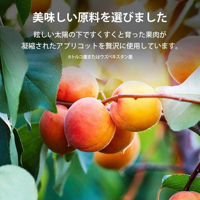ドライアプリコット ドライフルーツ アプリコット トルコ 乾燥果物 ドライアンズ アンズ 杏 あんず 砂糖不使用 クエン酸 βカロテン お徳用