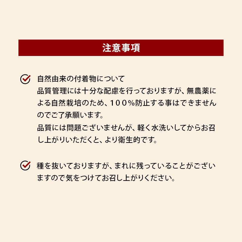 前田家 無添加 ドライデーツ 種なし 砂糖不使用 農薬不使用 混入物 付着物 検査済 サイヤー種 ドライフルーツ なつめやし イラン産 濃厚な甘さ サイヤーデーツ 天然サプリ 栄養豊富 製菓 パン作り おやつ 防災食 非常食 MAEDAYA 送料無料