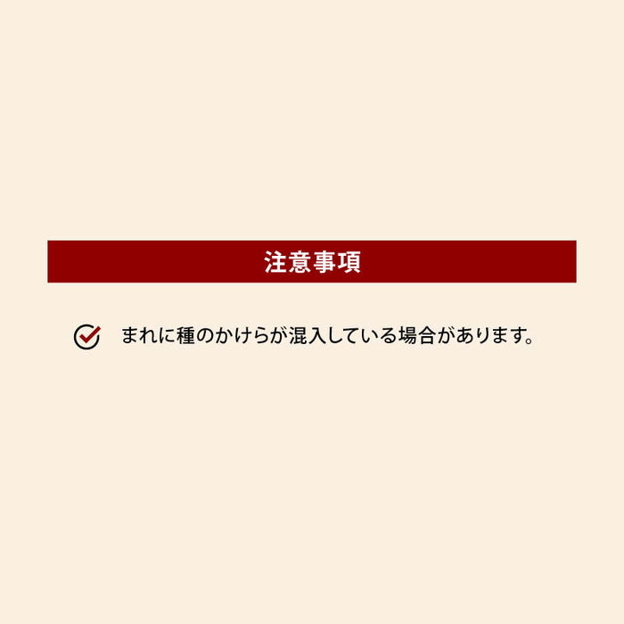 無添加 ドライフルーツ デーツ 種なし 750g ドライデーツ サイヤー種 砂糖不使用 なつめやし ナツメヤシ ナツメ イラン産 濃厚 栄養豊富 おやつ おつまみ 宅飲み