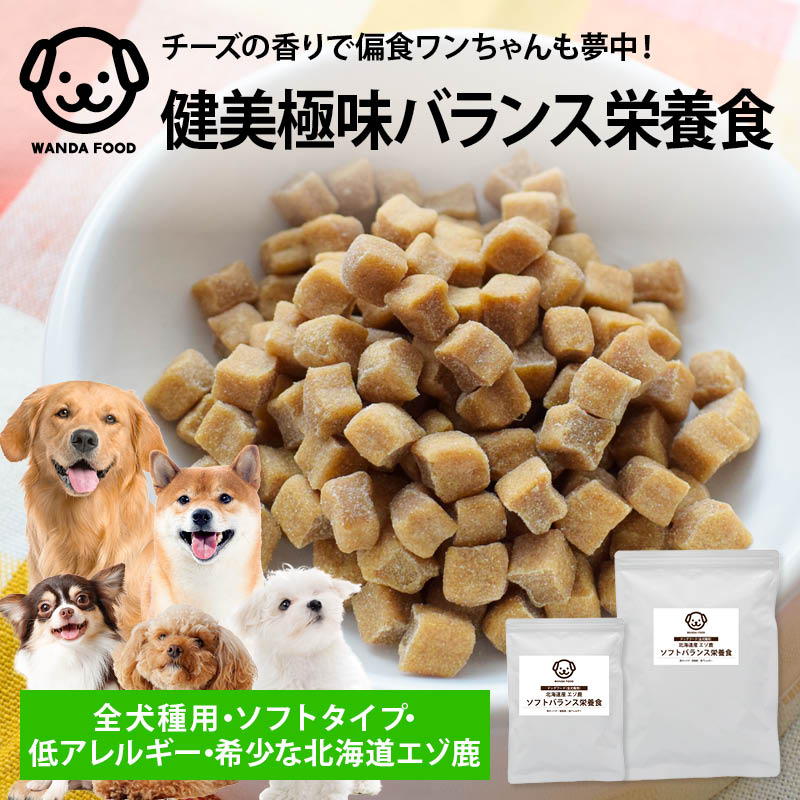 前田家 ワンダフード 国産 低アレルギー エゾ鹿 ソフト バランス栄養食