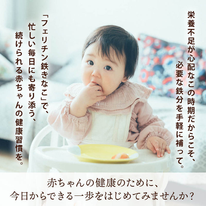 前田家 フェリチン鉄きなこ 30g/100g/300g/500g サプリメント 健康食品 幼児 サプリ フェリチン鉄 鉄分 大豆 栄養補助 添加物不使用 ベビーフード 離乳食 きなこ 鉄 粉末 乳幼児 幼児食 成長期 子ども 1000円ポッキリ 送料無料 MAEDAYA