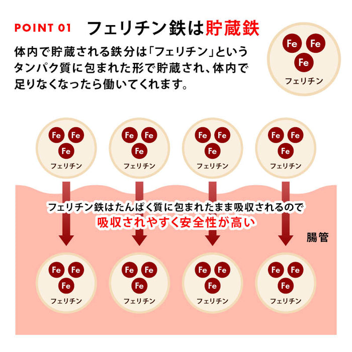 前田家 フェリチン鉄きなこ 30g/100g/300g/500g サプリメント 健康食品 幼児 サプリ フェリチン鉄 鉄分 大豆 栄養補助 添加物不使用 ベビーフード 離乳食 きなこ 鉄 粉末 乳幼児 幼児食 成長期 子ども 1000円ポッキリ 送料無料 MAEDAYA