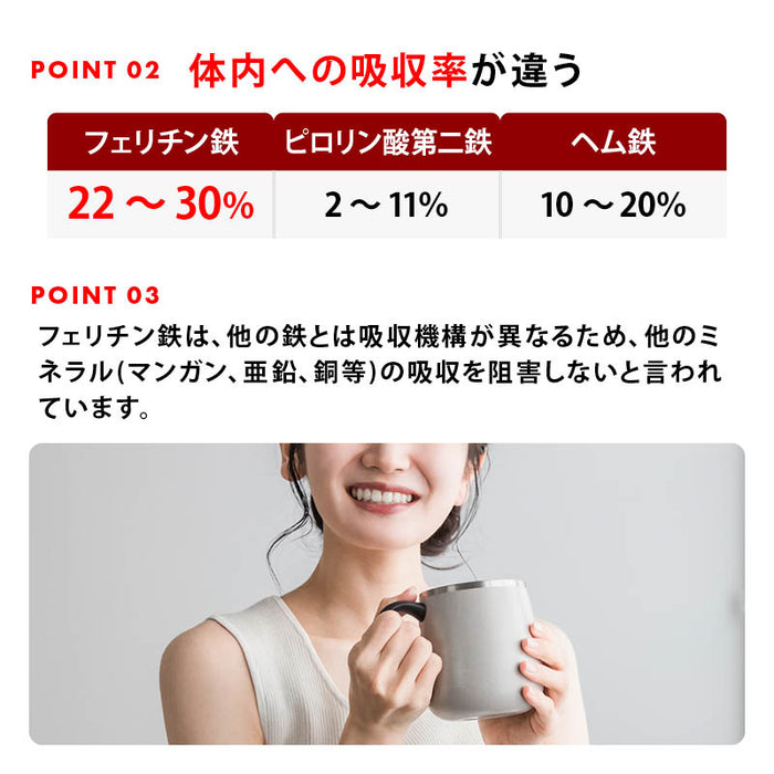 前田家 フェリチン鉄きなこ 30g/100g/300g/500g サプリメント 健康食品 幼児 サプリ フェリチン鉄 鉄分 大豆 栄養補助 添加物不使用 ベビーフード 離乳食 きなこ 鉄 粉末 乳幼児 幼児食 成長期 子ども 1000円ポッキリ 送料無料 MAEDAYA