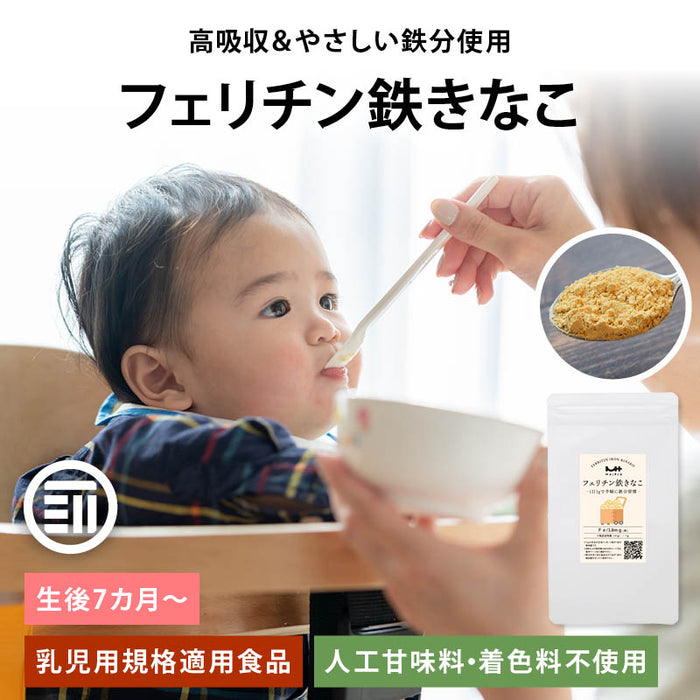前田家 フェリチン鉄きなこ 30g/100g/300g/500g サプリメント 健康食品 幼児 サプリ フェリチン鉄 鉄分 大豆 栄養補助 添加物不使用 ベビーフード 離乳食 きなこ 鉄 粉末 乳幼児 幼児食 成長期 子ども 1000円ポッキリ 送料無料 MAEDAYA
