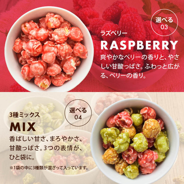 前田家 選べる 4種 フレーバーポップコーン キャラメル / 抹茶ミルク / ラズベリー / 3種ミックス 120g/280g/400g マッシュルーム型 お菓子 スイーツ おやつ 映画 送料無料 MAEDAYA