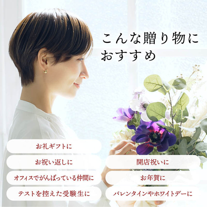 前田家 プチギフト 玄米甘酒 メッセージカード付き 無添加 個包装 アルコールゼロ 砂糖不使用 食塩不使用 玄米100% 岡山県産 国産 玄米麹 内祝い 引越 転勤 異動 挨拶  MAEDAYA