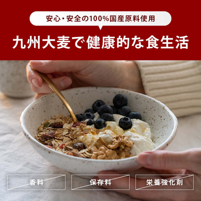 前田家 無添加 九州大麦グラノーラ プレーン 国産原料100％ 九州産  甘さひかえめ ザクザク食感 てんさい糖 黒糖 米油 シリアル フレーク 糖質 ダイエット 食物繊維 朝食 スイーツ ヨーグルト 家庭用 送料無料 MAEDAYA