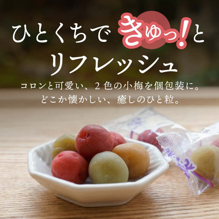 前田家 国産 花小梅 個包装 120g/200g/350g 紅白 梅干 うめぼし カリカリ梅 梅 小梅 おやつ 夏バテ 塩分 補給 熱中症対策 義務化 屋外 作業 熱中症 暑さ対策 スポーツ 部活 お弁当 送料無料