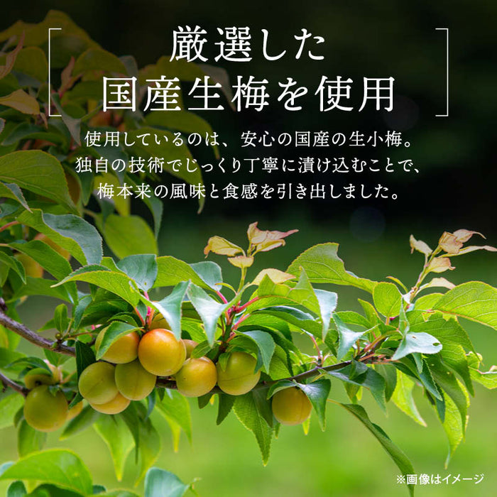 前田家 国産 花小梅 個包装 120g/200g/350g 紅白 梅干 うめぼし カリカリ梅 梅 小梅 おやつ 夏バテ 塩分 補給 熱中症対策 義務化 屋外 作業 熱中症 暑さ対策 スポーツ 部活 お弁当 送料無料