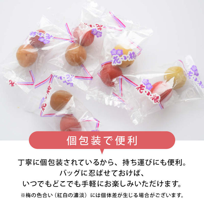 前田家 国産 花小梅 個包装 120g/200g/350g 紅白 梅干 うめぼし カリカリ梅 梅 小梅 おやつ 夏バテ 塩分 補給 熱中症対策 義務化 屋外 作業 熱中症 暑さ対策 スポーツ 部活 お弁当 送料無料