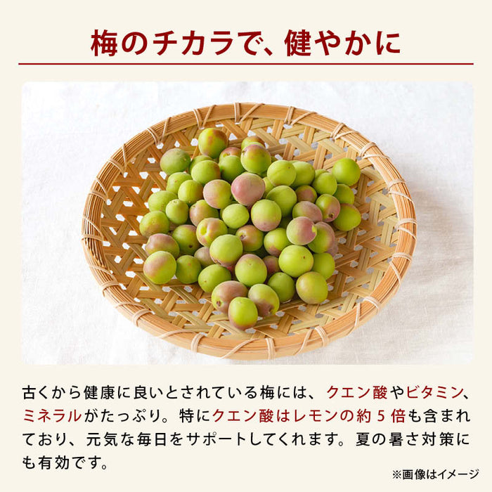 前田家 国産 花小梅 個包装 120g/200g/350g 紅白 梅干 うめぼし カリカリ梅 梅 小梅 おやつ 夏バテ 塩分 補給 熱中症対策 義務化 屋外 作業 熱中症 暑さ対策 スポーツ 部活 お弁当 送料無料