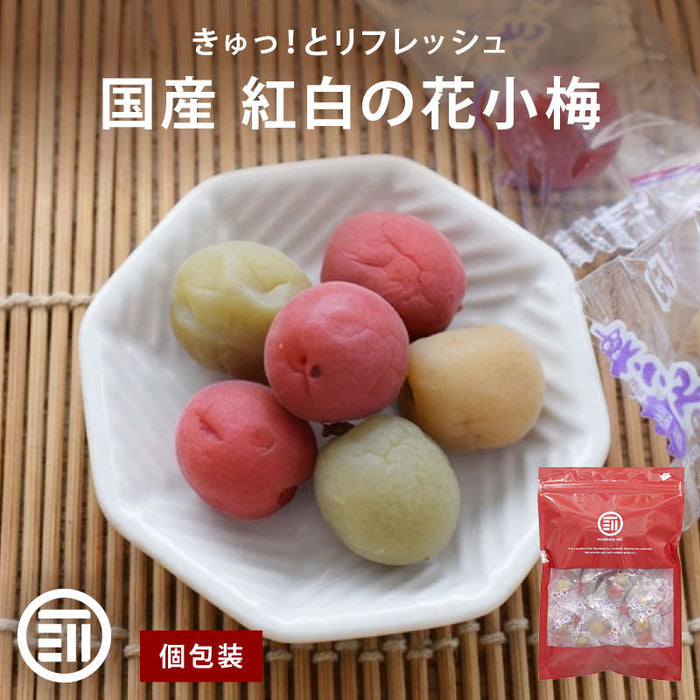 前田家 国産 花小梅 個包装 120g/200g/350g 紅白 梅干 うめぼし カリカリ梅 梅 小梅 おやつ 夏バテ 塩分 補給 熱中症対策 義務化 屋外 作業 熱中症 暑さ対策 スポーツ 部活 お弁当 送料無料