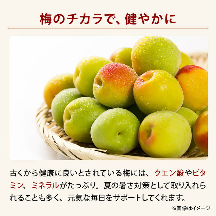 前田家 国産 カリカリ梅 半割 個包装 50g/145g/290g 着色料不使用 梅干 種なし 国産梅 カリカリ 梅 おやつ 夏バテ 塩分 補給 熱中症対策 熱中症 スポーツ 部活 お弁当 送料無料