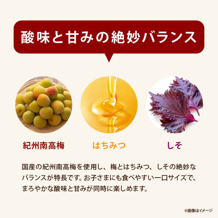 Honey, seedless dried plums, 250g, honey, dried plums, Wakayama, domestically produced, Kishu Nanko plums, individually wrapped, pickled plums, umeboshi, snacks, heat stroke prevention, home drinking, free shipping