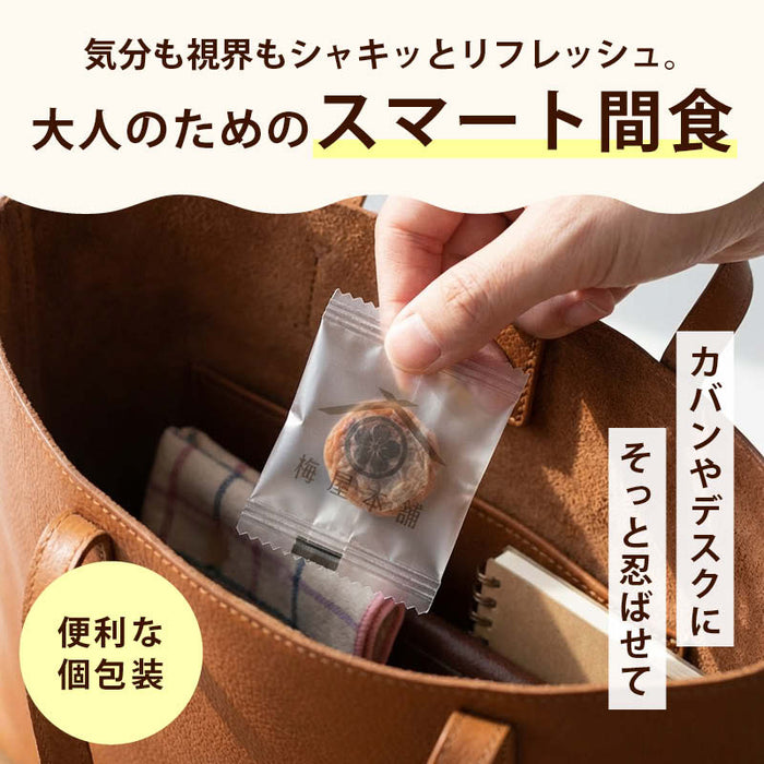 前田家 干し梅 130g/300g 個包装 梅屋本舗 梅干 うめぼし 干し梅 お茶うけ おやつ おつまみ お菓子 現場 作業 夏バテ防止 熱中症 塩分 補給 大容量 業務用 メール便 送料無料 MAEDAYA