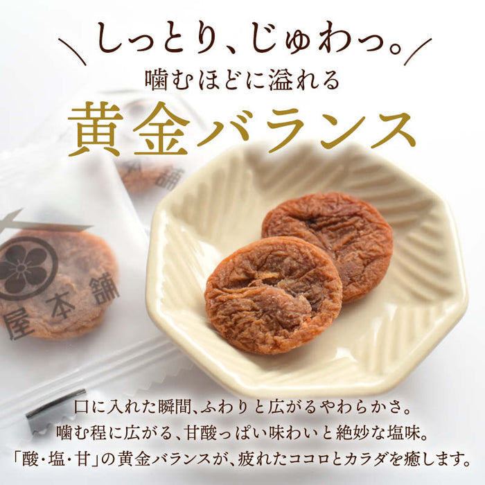 前田家 干し梅 130g/300g 個包装 梅屋本舗 梅干 うめぼし 干し梅 お茶うけ おやつ おつまみ お菓子 現場 作業 夏バテ防止 熱中症 塩分 補給 大容量 業務用 メール便 送料無料 MAEDAYA
