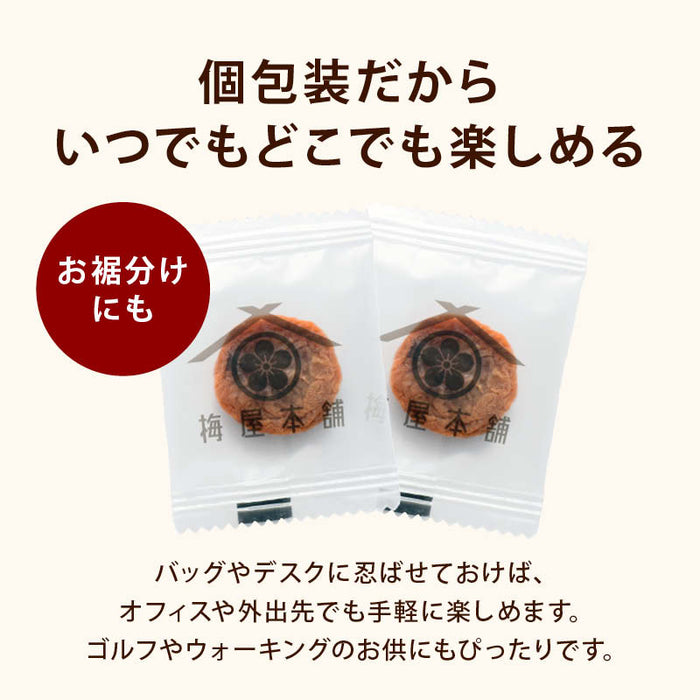 前田家 干し梅 130g/300g 個包装 梅屋本舗 梅干 うめぼし 干し梅 お茶うけ おやつ おつまみ お菓子 現場 作業 夏バテ防止 熱中症 塩分 補給 大容量 業務用 メール便 送料無料 MAEDAYA