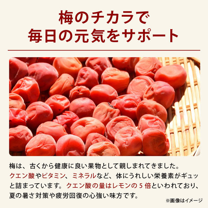 前田家 干し梅 130g/300g 個包装 梅屋本舗 梅干 うめぼし 干し梅 お茶うけ おやつ おつまみ お菓子 現場 作業 夏バテ防止 熱中症 塩分 補給 大容量 業務用 メール便 送料無料 MAEDAYA