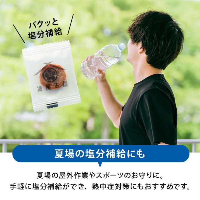 前田家 干し梅 130g/300g 個包装 梅屋本舗 梅干 うめぼし 干し梅 お茶うけ おやつ おつまみ お菓子 現場 作業 夏バテ防止 熱中症 塩分 補給 大容量 業務用 メール便 送料無料 MAEDAYA