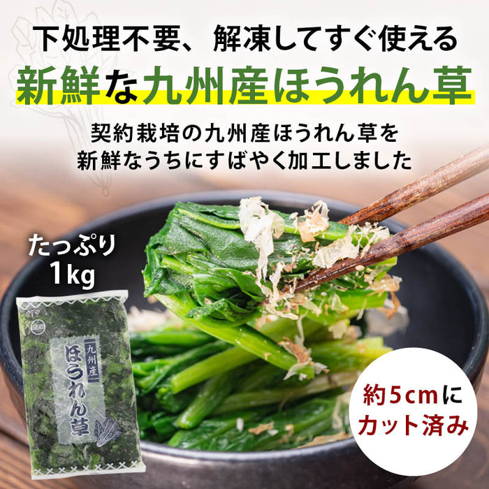 九州産 ほうれん草 カット 1kg 冷凍 ほうれんそう ホウレン草 ホウレンソウ 冷凍ほうれん草 国産野菜 国産 冷凍野菜 冷凍食品 契約栽培 業務用 大容量 まとめ買い 飲食店 前田家 MAEDAYA